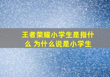 王者荣耀小学生是指什么 为什么说是小学生